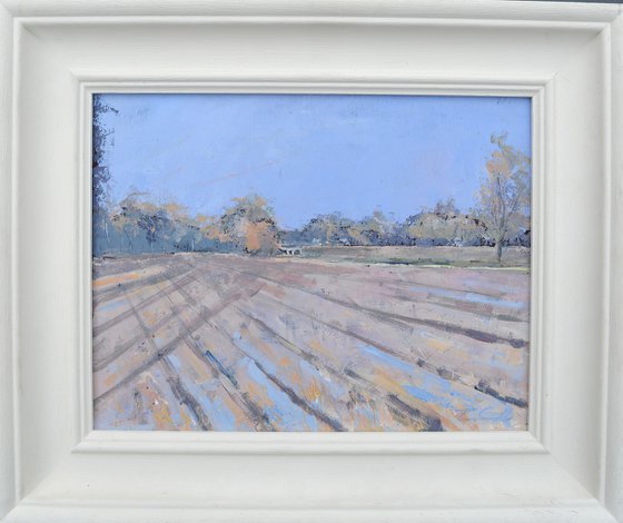 Field near Buxton, Norfolk.