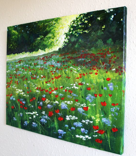 Sunrise and Wildflowers