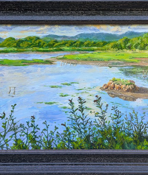 Saltram Marshes by David Fernandez Giron