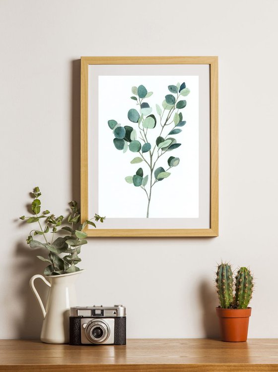 Eucalyptus love