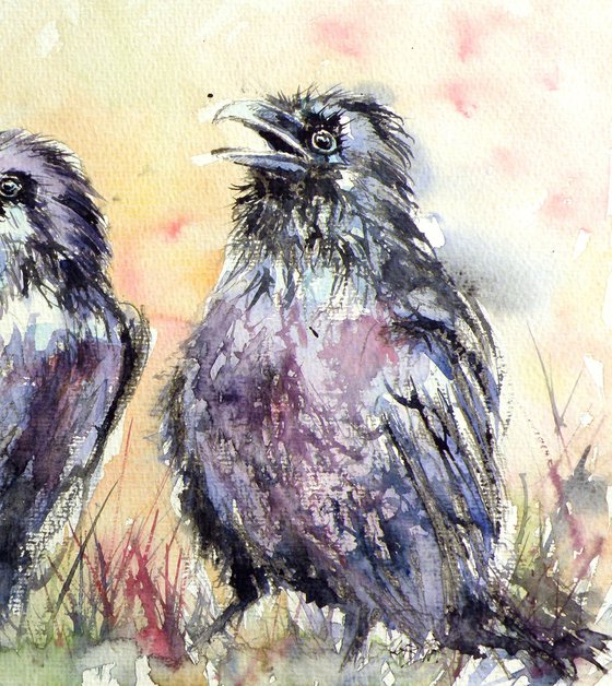 Ravens