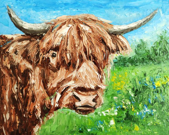 Highland Cow