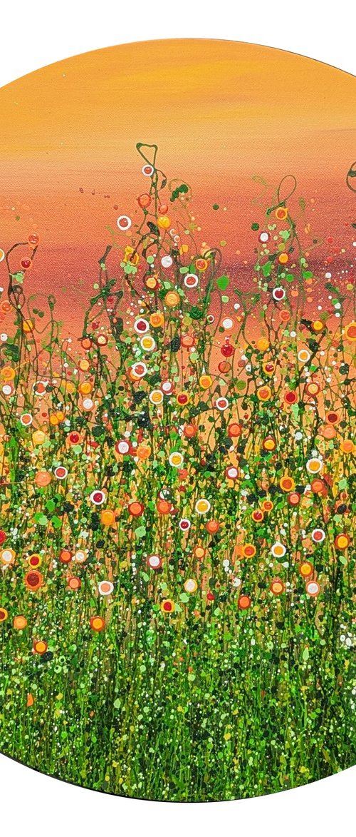 Sunset Meadows by Lucy Moore