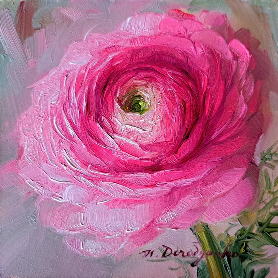 Ranunculus flower painting