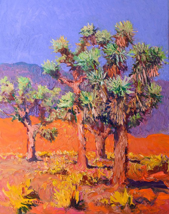 Joshua Trees. Sunny Day