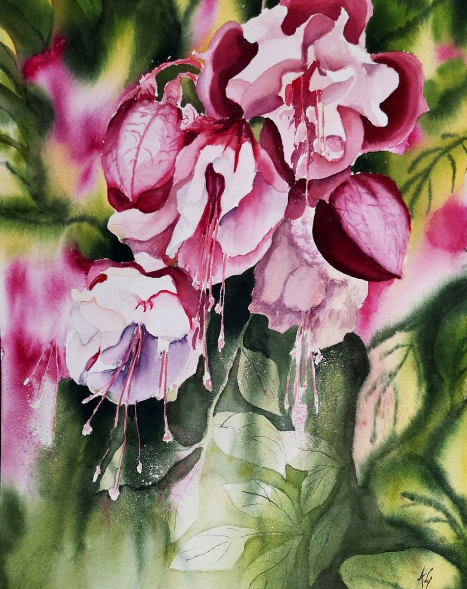 Impressionistic Botanical Watercolour By Aneta Gajos, 12 X 16, Croatian Fuchsia, Original Artwork