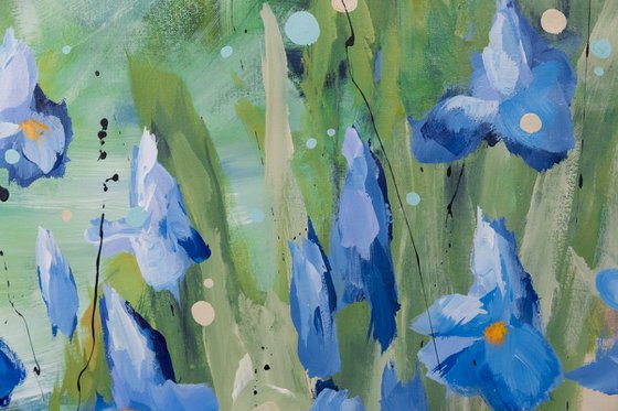 Jardin d'iris