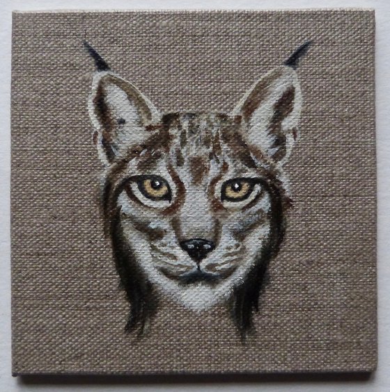 Lynx