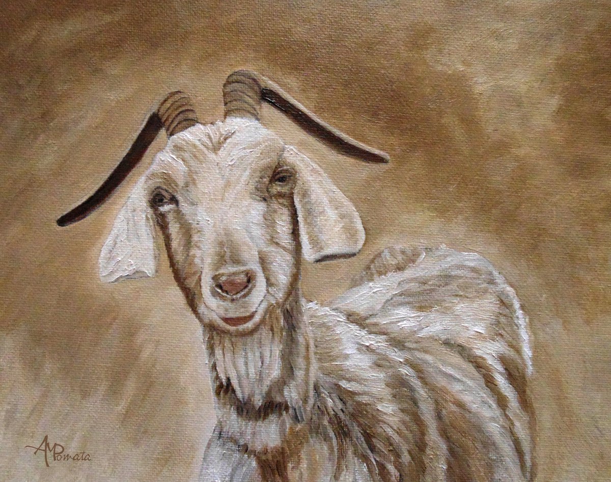 The Smile Of A Goat by Angeles M. Pomata