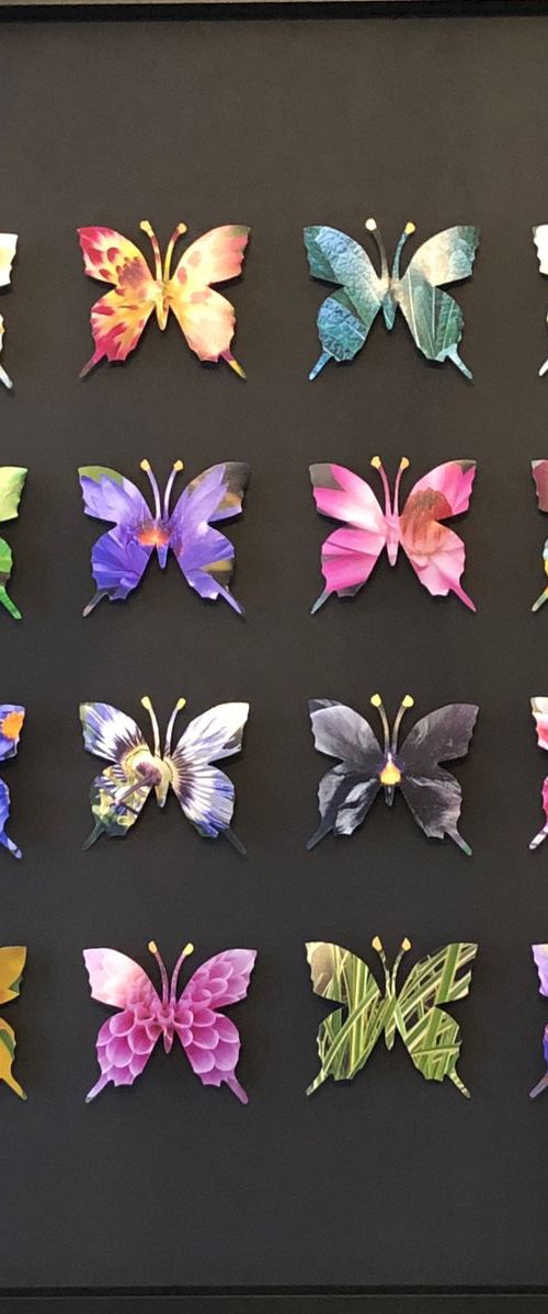 Flower Butterfly Box by Lorna Doyan