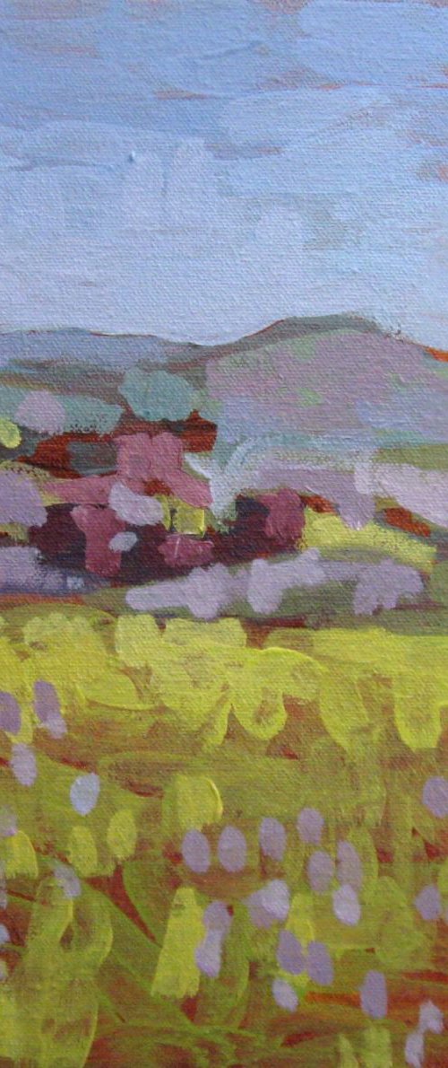 SUMMER 5 (BOHEMIA) by LENKA STASTNA