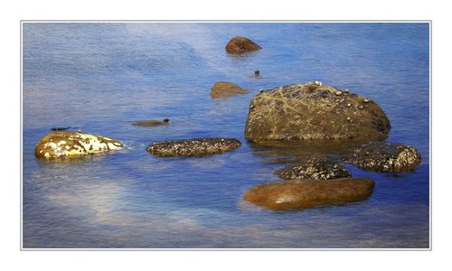 Rocks at Low Tide by Martin  Fry