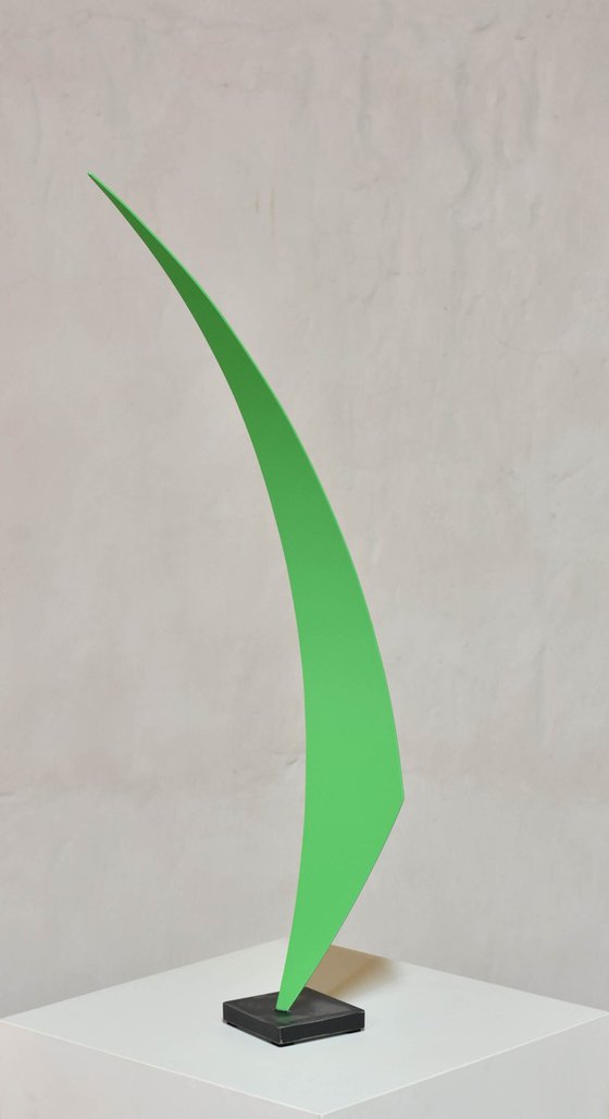 Organic Slimoïde