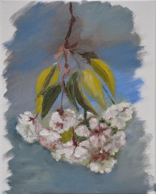 Blooming Sakura, Sakura Painting by Anna Brazhnikova by Anna Brazhnikova