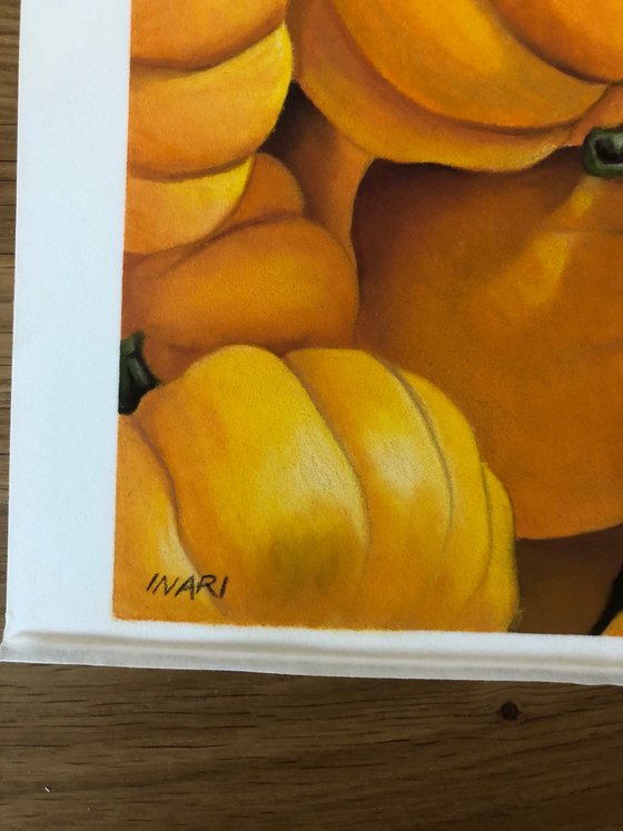 Pumpkins Still life pastel Drawing