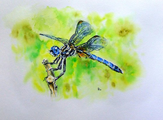 Dragonfly