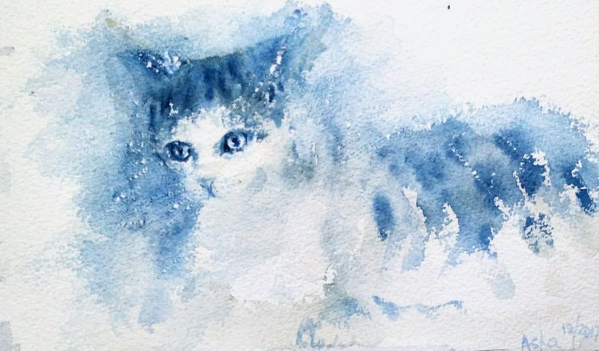 My blue cat- watercolors on paper 8.25x 5.00 by Asha Shenoy