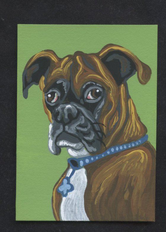 ACEO ATC Original Miniature Painting Boxer Pet Dog Art-Carla Smale