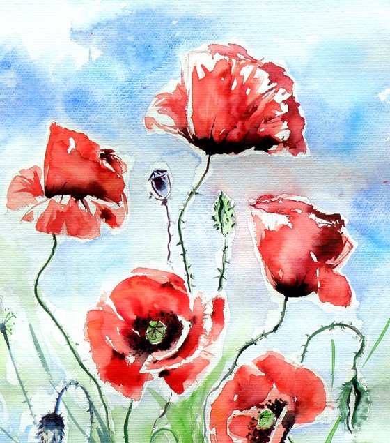Five poppies