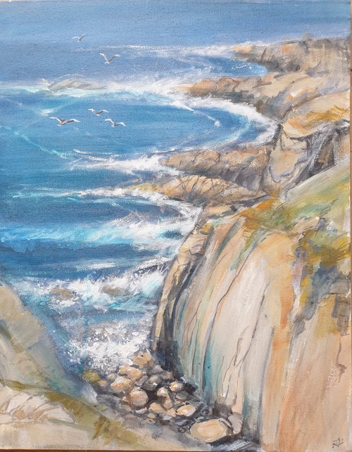 Cliffs near Falmouth, Cornwall by Jean  Luce