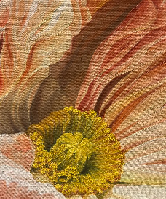 The Poppies Dance