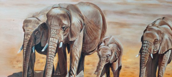 Elephants in the Desert