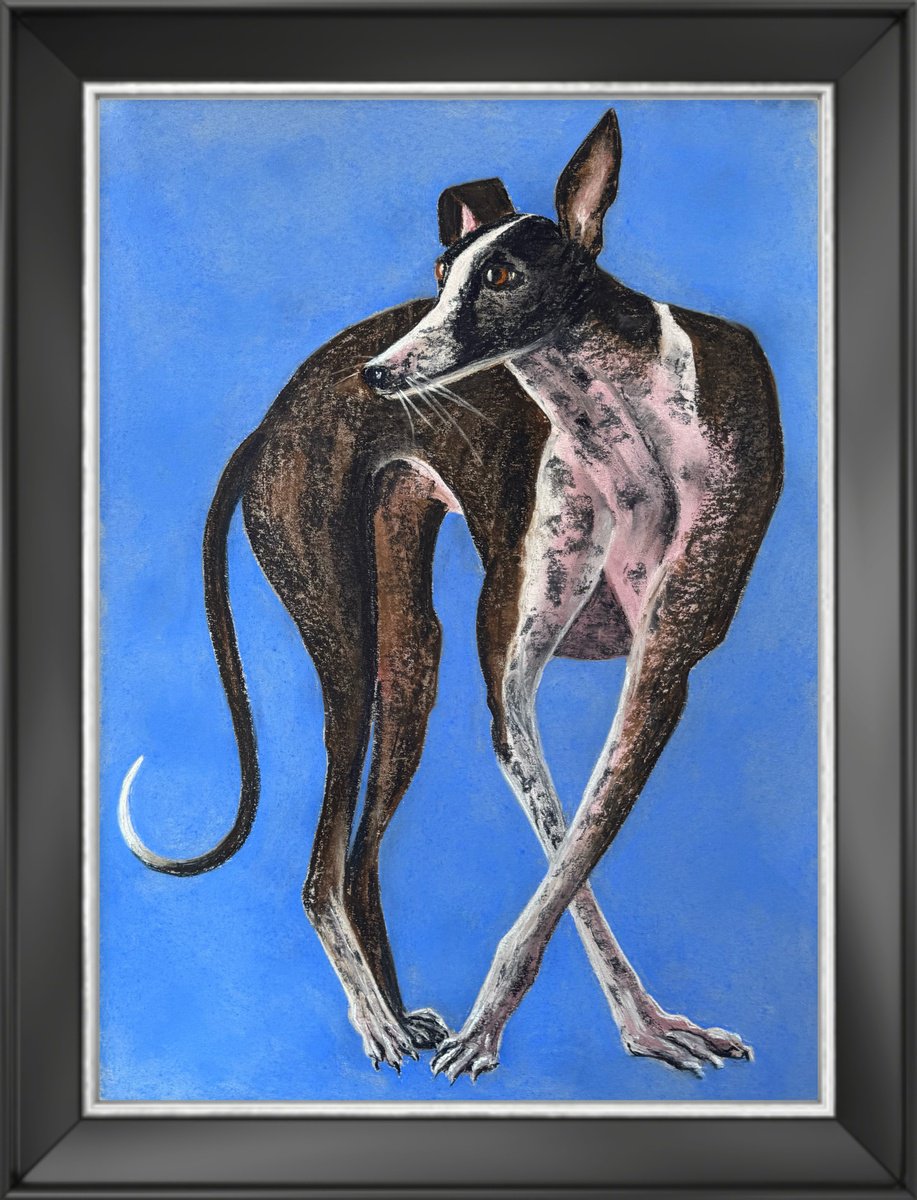 Impressionistic Pastel Drawing , Dog Portrait Soft Pastel Galgo Espanol By Yuliia Sharapova, 24 X 31, Artwork For Sale On Artfinder