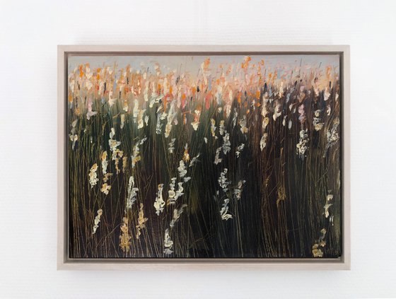 Colourful Reeds