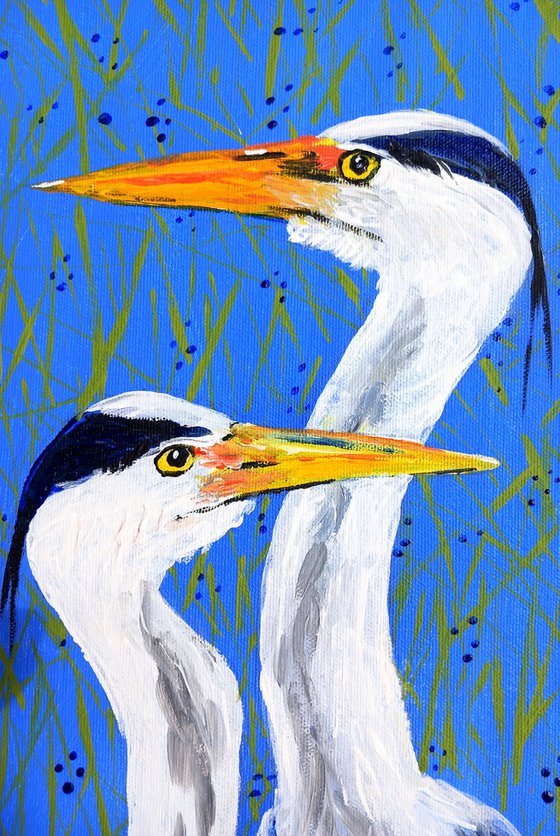 "Blue heron couple"