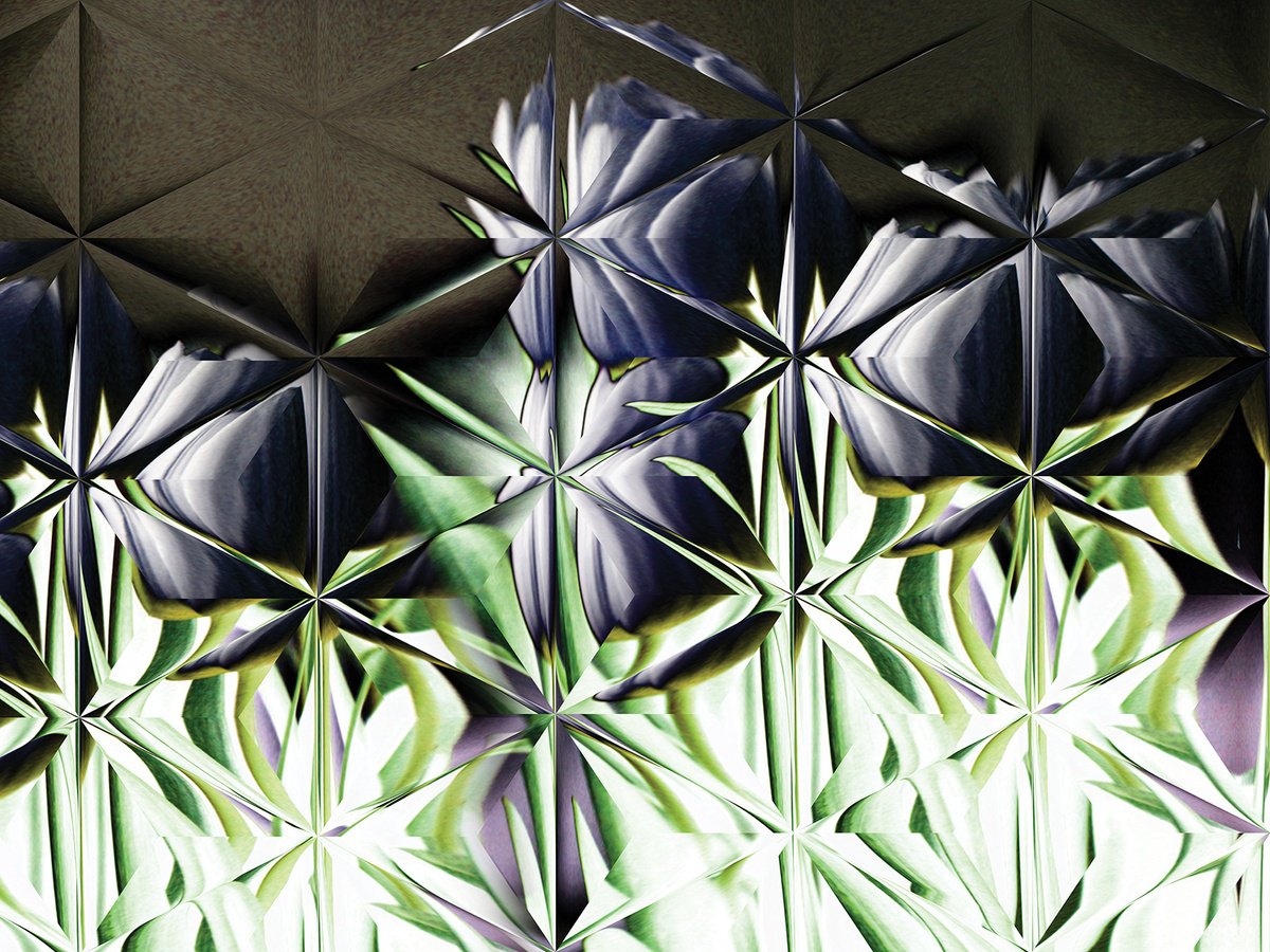 Abstract Botanical Print By Javier Diaz, 60 X 79, Caleidoscopios, Original Artwork