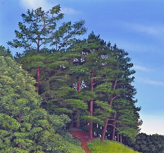 Footpath To The Forest