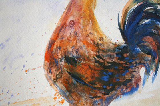 Rooster IV