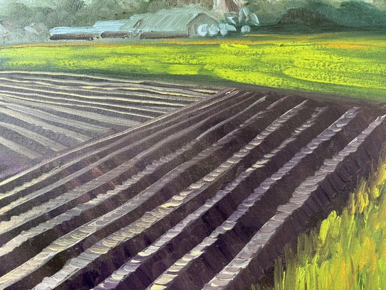 Plowed Field in Wachtum