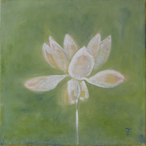Lotus by Elena Zapassky