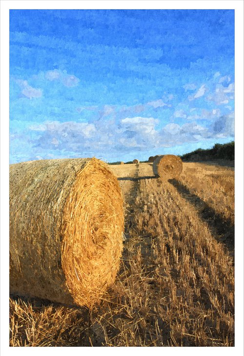 Summer Bales by David Lacey