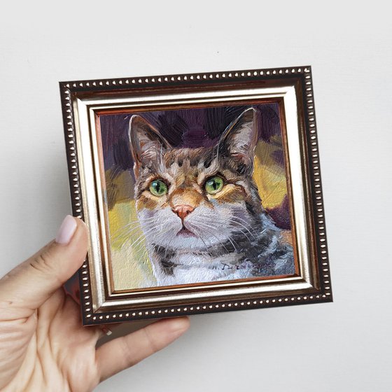 Cat portrait