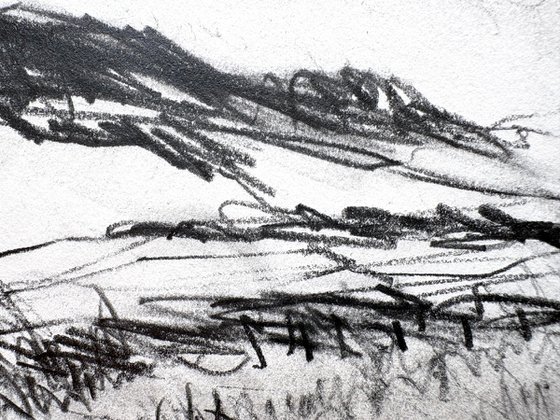 Pennsylvania Fields 4