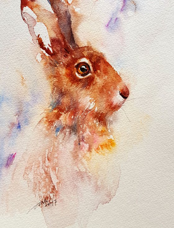 Brownie the Hare