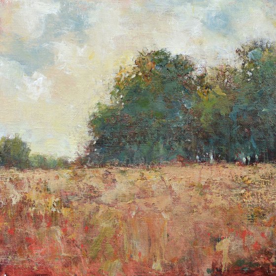 Red Field 12x12 inches