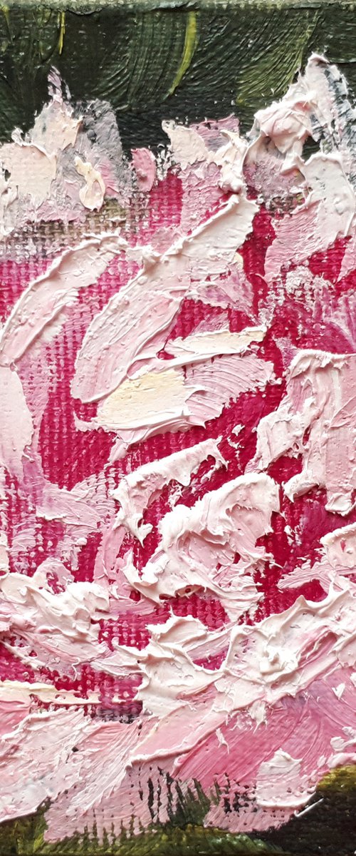 Peony 02... / FROM MY A SERIES OF MINI WORKS / ORIGINAL OIL PAINTING by Salana Art