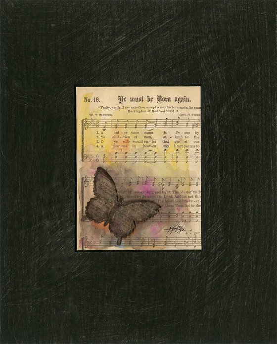 Butterfly Medley Collection 4
