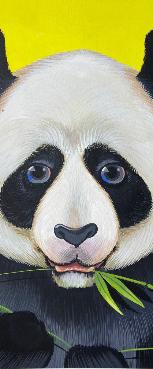 PANDA by Johnny Karwan