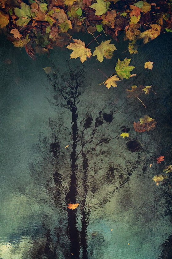 Gone with the November rain