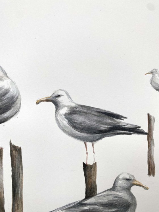 seagulls. One of a kind, original painting, handmade work, gift, watercolour art.