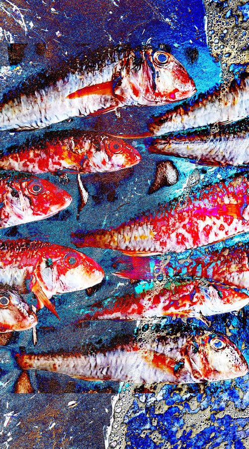 Photo Collage Fish Sea Sand by Yuliia Sharapova