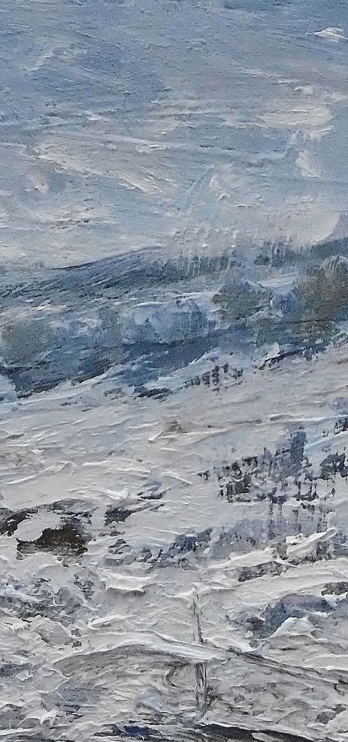 Ploughed Field, Heavy Snow by Nikki Wheeler