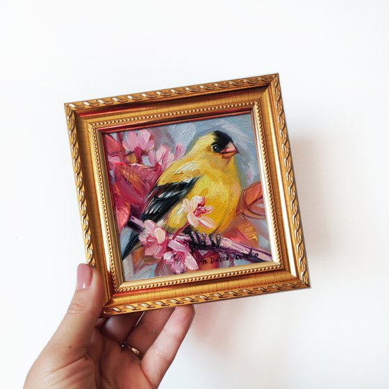 American goldfinch oil painting original 4x4, Small framed art yellow bird wall art