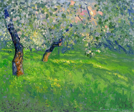 The last rays. Apple trees in bloom