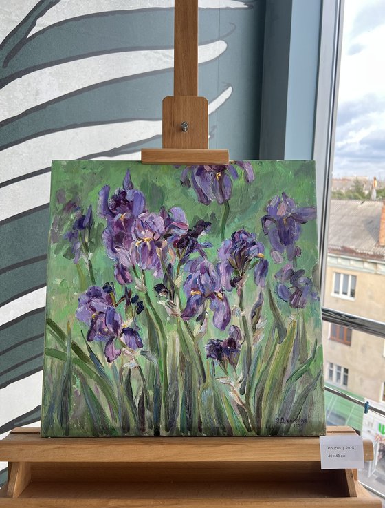 «Irises»