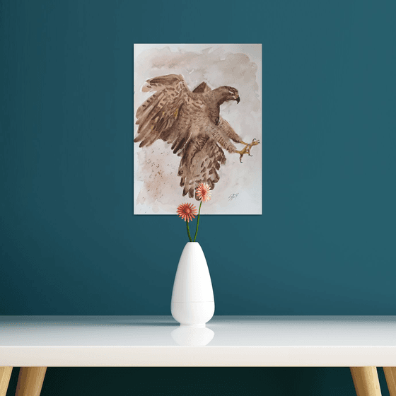 Hawk